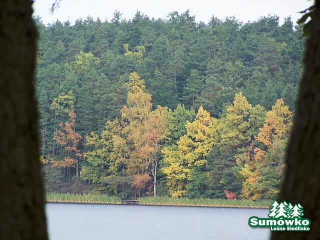 11.12 2010 1162