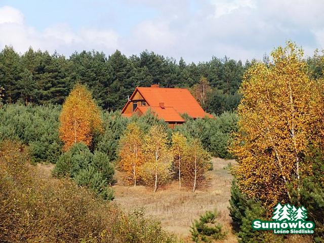 początki fuji 273