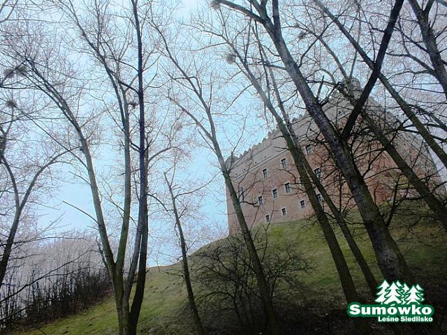 początki fuji 044