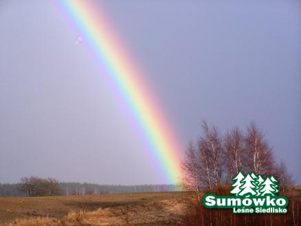 sumowko1 001