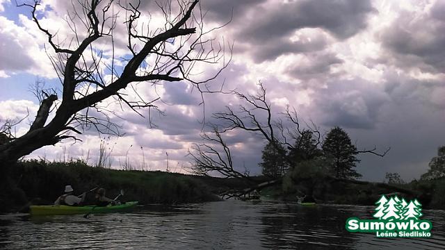 DSC 0030