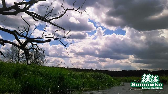 DSC 0042