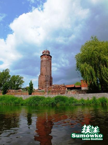 początki fuji 182