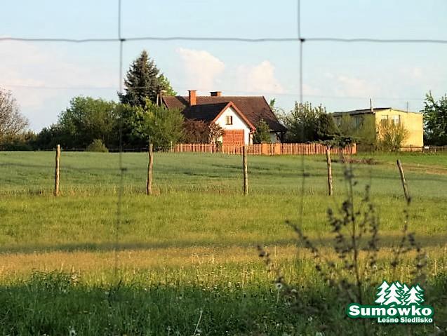 DSCF6404 fb