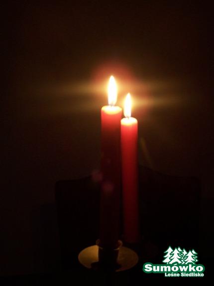 11.12 2010 113