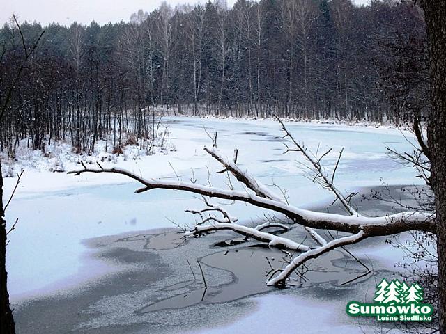 początki fuji 156