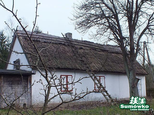 początki fuji 129