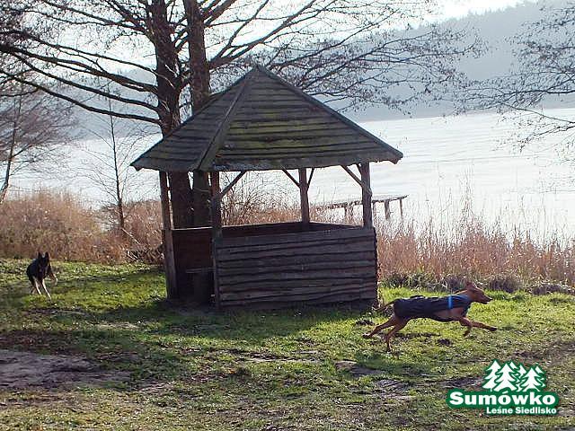 początki fuji