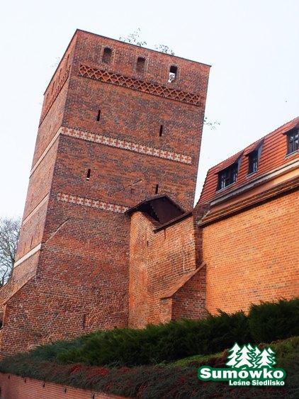 początki fuji 093