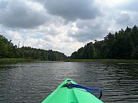 bachotek