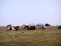 11.12 2010 800