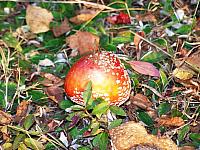 11.12 2010 071