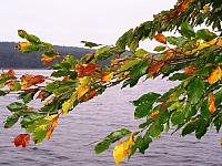 jezioro