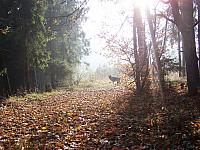 11.12 2010 1398