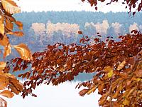 11.12 2010 1352