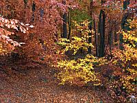 11.12 2010 1360