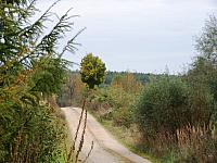 jesien12