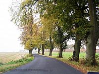 11.12 2010 1134