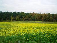 11.12 2010 1140