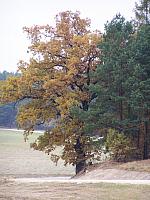 11.12 2010 1340