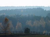 początki fuji 349