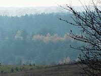 początki fuji 351