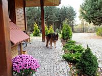 początki fuji 322