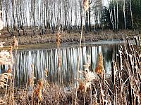Kopia początki fuji 167