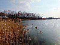 początki fuji 171