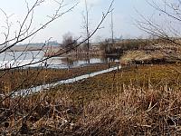 początki fuji 179