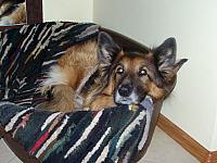 11.12 2010 134