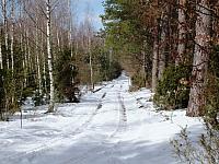 przedwiosnie13