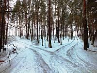 początki fuji 199