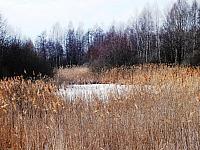 początki fuji 209