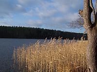 11.12 2010 469