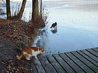 początki fuji 017