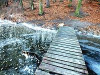 początki fuji 021