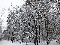 początki fuji 090
