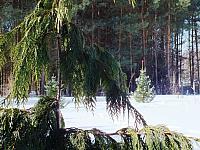 początki fuji 165
