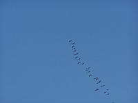 11.12 2010 024