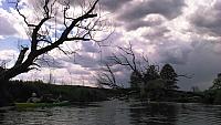 DSC 0030