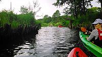 DSC 0096
