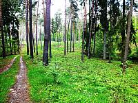 początki fuji 037