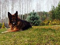 początki fuji 157
