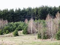 początki fuji 320