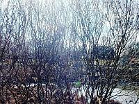 początki fuji 056