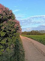 DSCF6446 fb