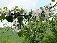 DSCF6457