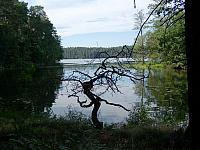 11.12 2010 091
