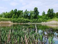 początki fuji 024
